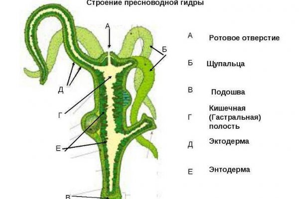 Ссылка на омг омг в тор браузере